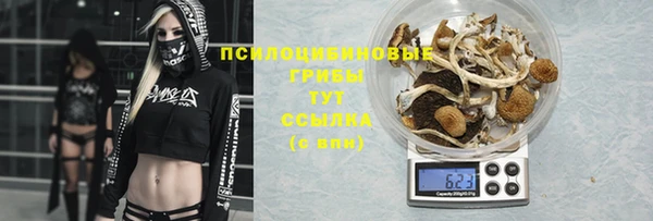 прущие крисы Алзамай
