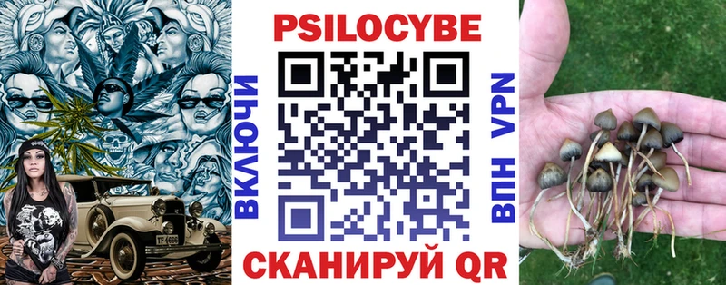 Галлюциногенные грибы Psilocybine cubensis  Карачаевск 